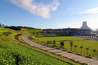 市政綠化工程 市政綠化工程