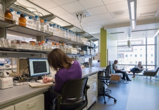 實驗室凈化 實驗室凈化